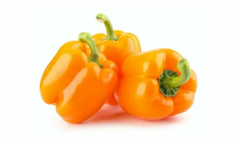 تصویر 4 از فلفل دلمه نارنجی تازه چین آبدار مصرف خام سالم